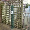 Image of Image of a rolled Artificial Ivy Leaf Hedge Screen placed outdoors, set against a wooden fence and flooring, surrounded by a tree and a greenhouse