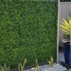 Image of Artificial Mixed Boxwood 1m x 1m Plant Panel UV Stabilised mounted vertically outdoors with decorative white pebbles and several small real plants including snake plants at the base and a tall potted plant with spiky yellow green leaves on the right side