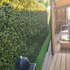 Image of Artificial Premium Natural Buxus Panel installed on a patio with artificial grass beneath and a wooden floor, surrounded by a small ladder, a picture frame, and a pot with an artificial plant