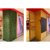 Image of Artificial Premium Natural Buxus Panel before and after installation look