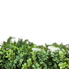 Image of Artificial Vertical Garden of Eden Foliage Close Up View