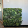 Image of Artificial Vertical Garden of Eden One Panel Installed on a Wall below a light switch