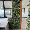 Image of Artificial Vertical Garden of Eden Installed indoors next to a door frame and a window