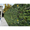 Image of Artificial Vertical Garden of Eden Installed Outdoors on a fence in a residential swimming pool area with a concrete walkway