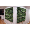 Image of Artificial Vertical Garden of Eden installed in a house on two corner walls