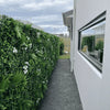 Image of Artificial White Tropics Vertical Garden Wall Panel installed outdoors along a cement paved walkway, facing the glass window of a residential home
