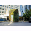 Image of Green wall in an urban setting with buildings in the background