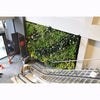 Image of Green living wall in an indoor setting with an escalator