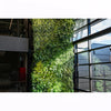 Image of Green living wall inside a modern building with glass windows.