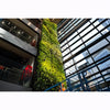 Image of Tall vertical garden inside a modern building with glass walls.