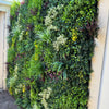 Image of Evergreen Rainforest Recycled Artificial Green Wall installed on a sturdy frame beside a door