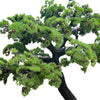 Image of zoomed in image of large artificial bonsai