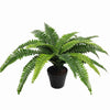 Image of Artificial Boston Fern 55cm