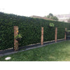 Image of A photo of a backyard with Artificial Spring Sensation Hedge Wall Panels accented by red brick pillars. A neat lawn and pebble-lined garden bed sit in front with potted plants hanging from the pillars and hedge. The house roof is visible in the background.