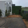 Image of A modern side yard with light grey siding and a large Artificial Spring Sensation Hedge Wall Panel as a privacy screen. The space features wood mulch, young trees, a dark fence, a small wooden stool, and an asphalt driveway