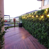 Image of Tea Tree Tropics Artificial Vertical Garden Panel installed outdoors by the gate near the swimming pool, accented with top lighting and a large planter on wooden flooring