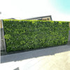 Image of Artificial White Oasis Vertical Garden Panel mounted on a large colourbond fence along a tiled residential walkway