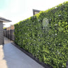 Image of Artificial White Oasis Vertical Garden Panel installed on a colourbond fence along a residential tiled walkway