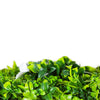 Image of Close up image of the leaves on the Artificial White Oasis Vertical Garden 1m x 1m Plant Wall Screening Panel UV Protected