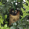 Image of Artificial Potted Topiary Tree UV 120cm Resistant