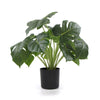 Image of Potted Artificial Monstera Deliciosa Plant With Real Touch Leaves 50cm