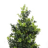Image of Artificial Potted Topiary Tree UV 120cm Resistant