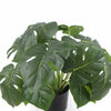 Image of Potted Artificial Monstera Deliciosa Plant With Real Touch Leaves 50cm