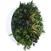 Image of 60cm Outdoor Artificial Green Wall Disc UV Stabilised