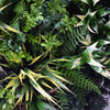 Image of 60cm Outdoor Artificial Green Wall Disc UV Stabilised