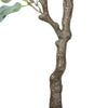Image of Artificial Eucalyptus Tree (Red Box Polyanthemos) 150cm