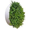 Image of Aloe Vera Circular Artificial Green Wall Disc 80cm