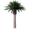 Image of Tall Artificial Canary Palm Tree (3m To 6m) UV Resistant
