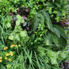 Image of Close Up View Of The Foliage Including Ferns, Grasses and Flowers of the Artificial Country Fern Recycled Vertical Garden Panel