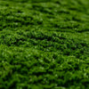Image of Artificial Dark Moss Green Wall Panel 1m x 1m UV Stabilised