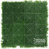 Image of Artificial Deluxe Buxus Hedge Wall Panel Sample