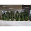 Image of Artificial Dense Grass Plant 80cm