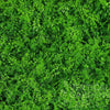 Image of OPEN BOX of 1 x Artificial Fern Vertical Garden 1m Panel UV Stabilised