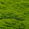 Image of Artificial Fresh Moss Green Wall Panel 1m x 1m UV Stabilised