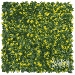 Artificial Golden King Hedge 1m x 1m Plant Wall Screening Panel UV Protected