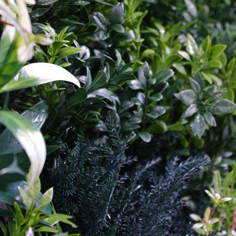 Artificial Green Summer 1m x 1m Plant Wall Panel UV Stabilised