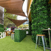 Image of Green Tropics Artificial Greenwall Installed In Bar