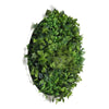 Image of Artificial Green Wall Disc Art 100cm Mixed Green Fern - White