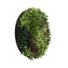 Image of Artificial Green Wall Disc Art 90cm Green Field UV Resistant - Black