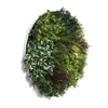 Image of Artificial Green Wall Disc Art 90cm Green Field UV Resistant - White