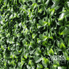 Image of Close Up View Of The Artificial Jasmine Leaves Showing Detailed Texture