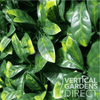 Image of Artificial Laurel Leaf Close Up Showing Green Colours and Textures