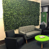 Image of Artificial Laurel Hedge Panel Installed In a Waiting Room with Courched and Round Table
