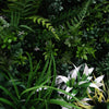 Image of Artificial Lush Forest Panel Close Up Of foliage