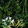 Image of Artificial Lush Forest Close Up View Showing Various Foliage