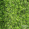 Image of Artificial Mixed Boxwood Freestanding Hedge 1m x 75cm x 30cm UV Stabilised
